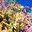 Sepro Group with Coral Guardian